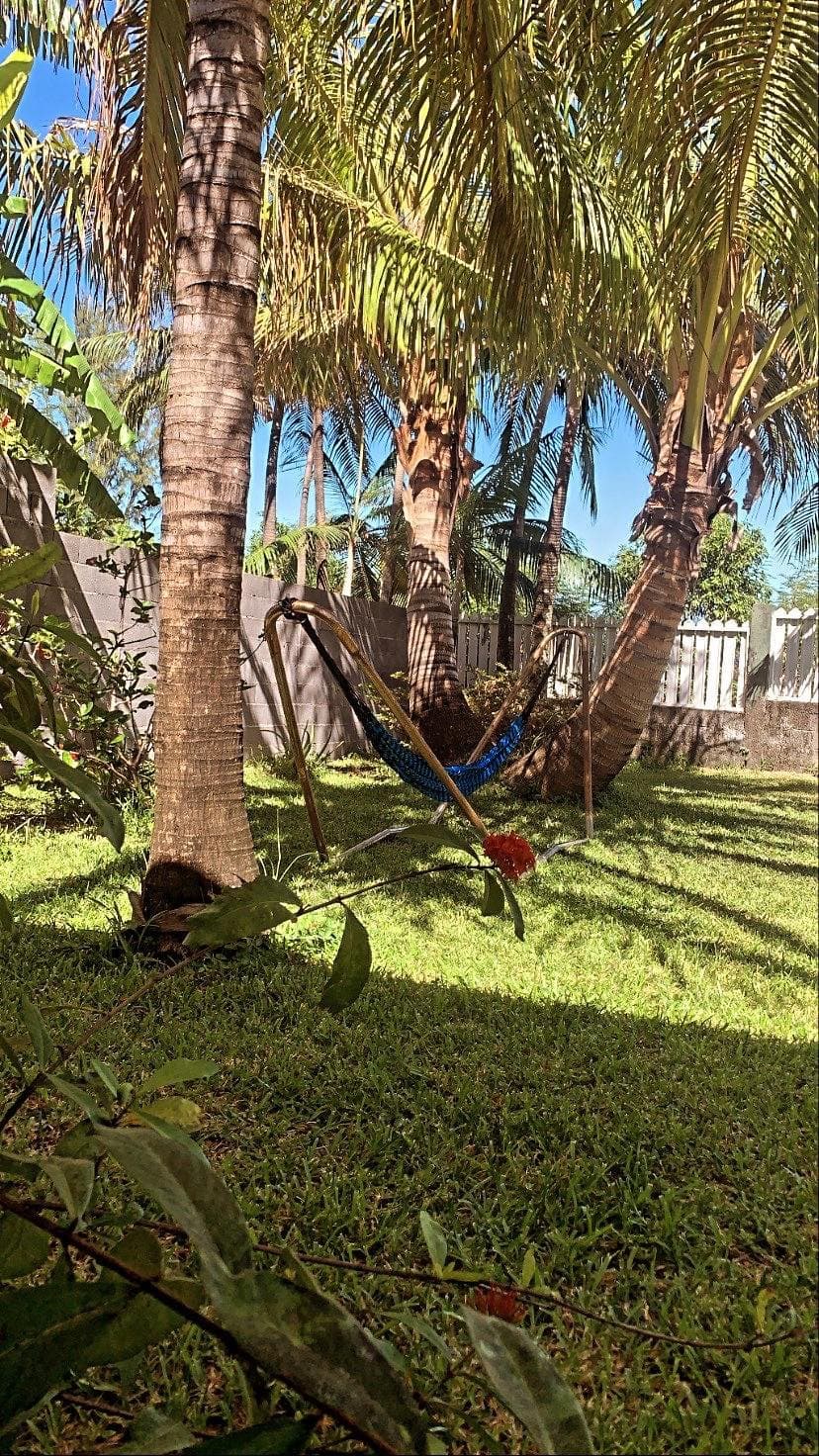 F3 Les Cocotiers — photo 8