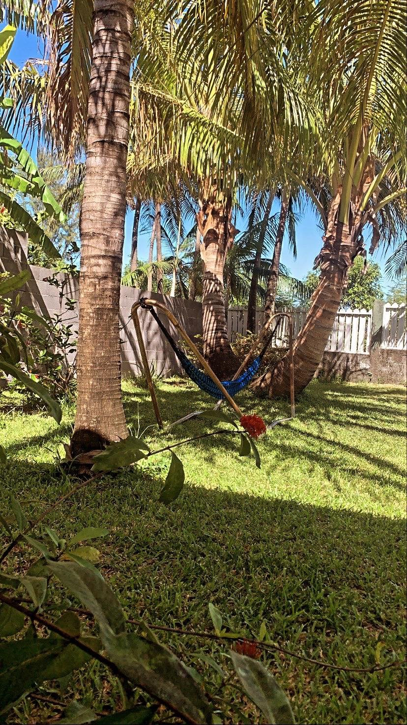 F3 Les Cocotiers — photo 13